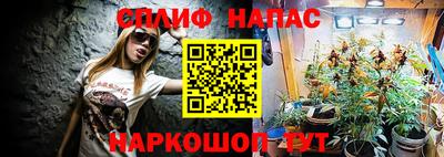 скорость Гатчина