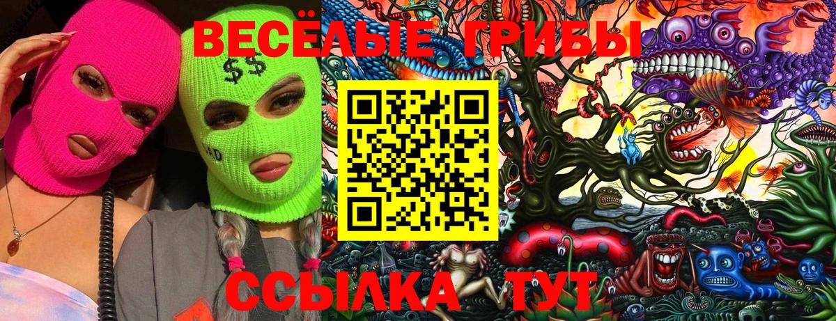 Псилоцибиновые грибы Psilocybine cubensis Нарткала